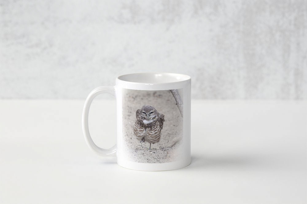 Photo Mug - Burrowing Owl