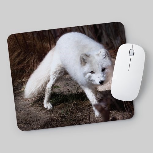 Photo Mousepad - Snow Fox