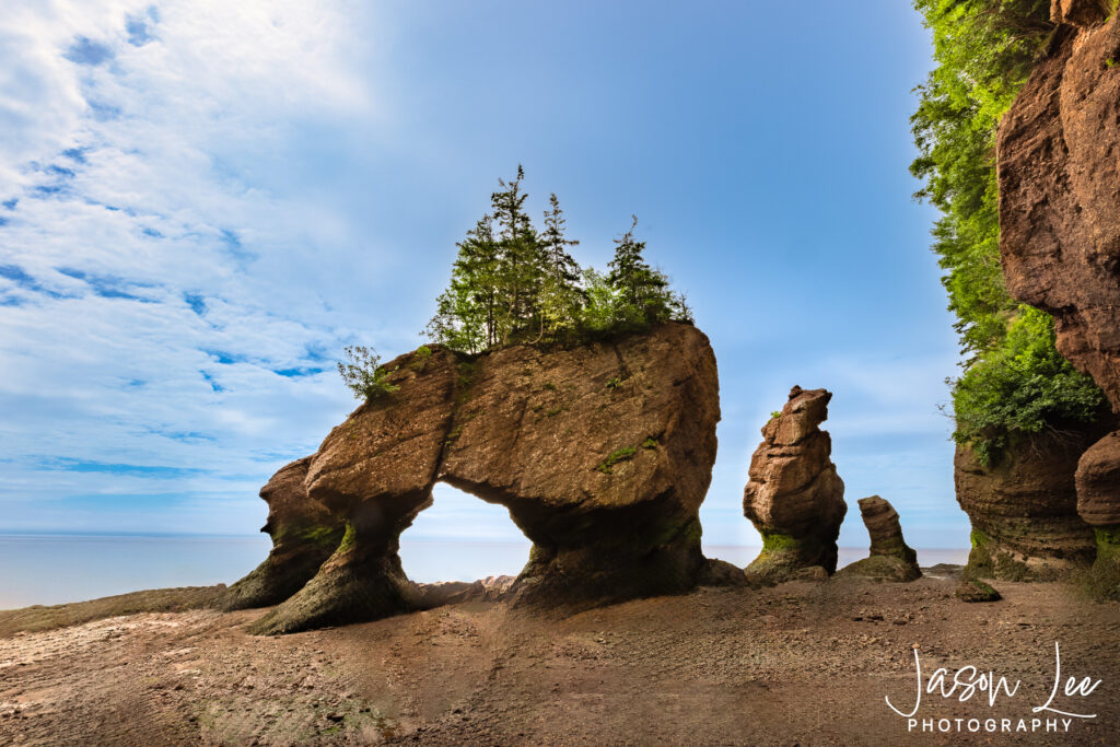 Hopewell Rocks